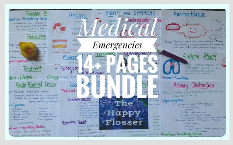 Medical Emergencies Bundle Study Sheets for The Dental Hygienist image 1