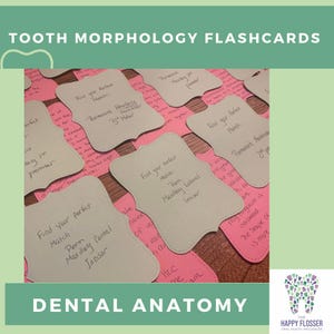 Activity Matching Flashcard game on tooth anatomy for dental hygiene students