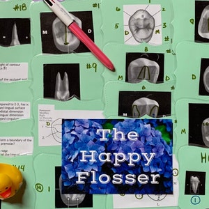 Dental Flashcards Premolar Tooth Morphology for Dental Hygiene Students