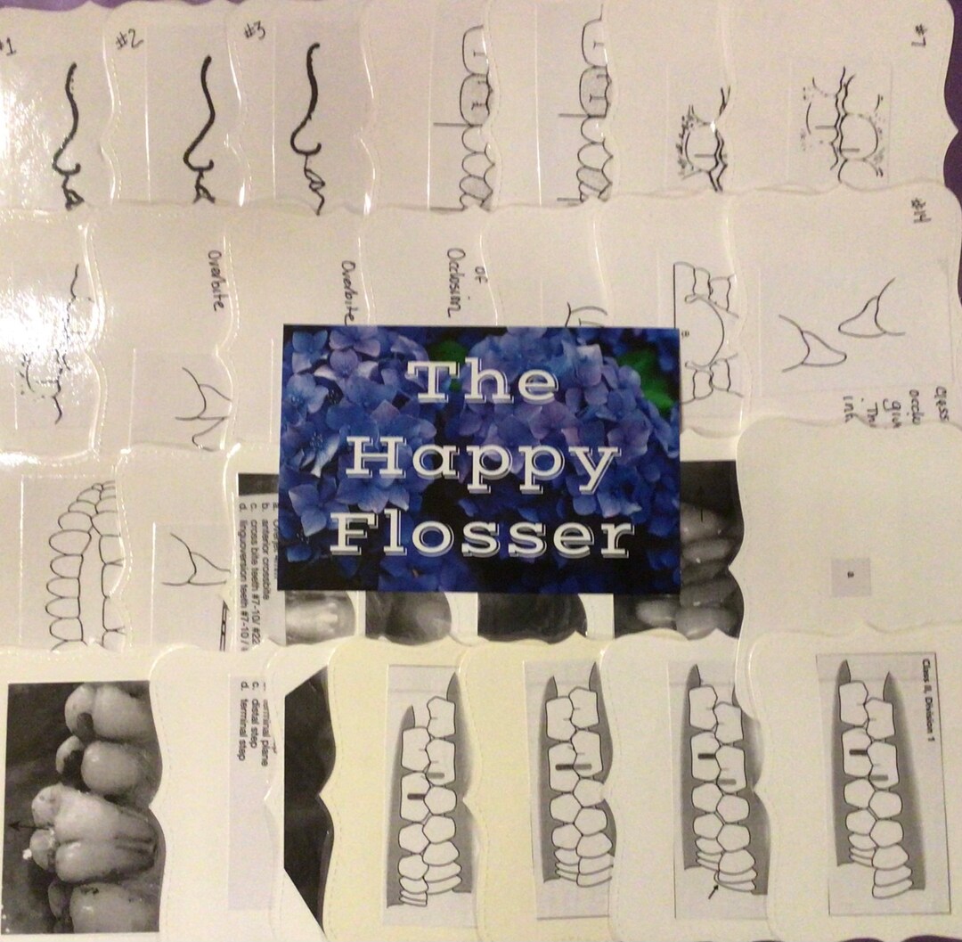 Occlusion Dental Hygiene Flashcards Etsy