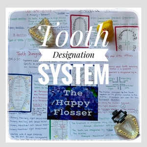 May include: A colourful diagram explaining the tooth designation system. The diagram includes a chart with numbers and letters, a drawing of a mouth with teeth, and the text "The Happy Flosser".