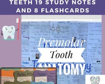 Fiches d'étude sur la morphologie et l'anatomie des prémolaires dentaires et cartes-éclair pour étudiants en hygiène dentaire
