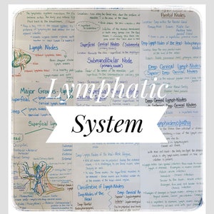 Lymphatic System Study Sheets for Dental Hygiene Students