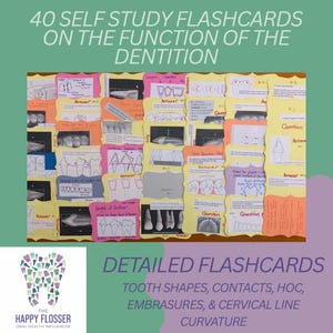 Tarjetas didácticas sobre odontología: forma y función para estudiantes de higiene dental