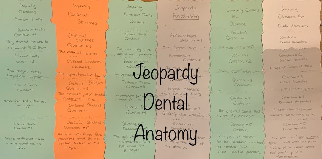 Jeopardy Flashcards on Dental Anatomy Content for Dental Hygiene