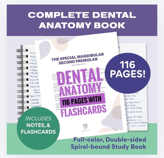 Dental Tooth Anatomy Spiralbound 116 Color Handwritten Notes for
