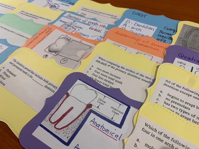 Tooth Flash Card Layout Dental Terminology Study Sheet Bundle and Flashcards for the Dental ...