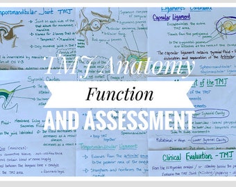 TMJ Anatomy and Function Study Sheets for Dental Hygiene Students