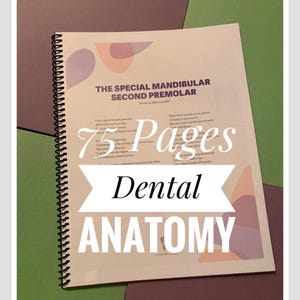 Dental Tooth Anatomy Spiralbound 75 Color Handwritten Notes for Dental Hygiene Students