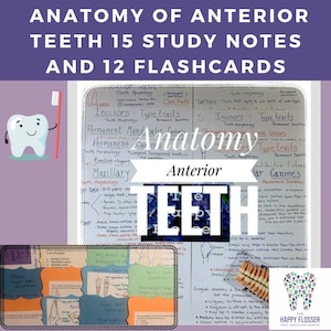 Fiches d'étude de l'anatomie et de la morphologie des dents antérieures en hygiène dentaire et cartes-éclair