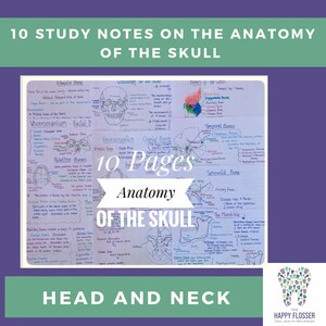 Anatomy of the Skull Study Sheets for Dental Students