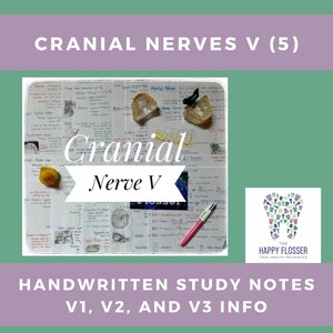 Cranial Nerve V Trigeminal Study Sheets for Dental Hygiene RDH