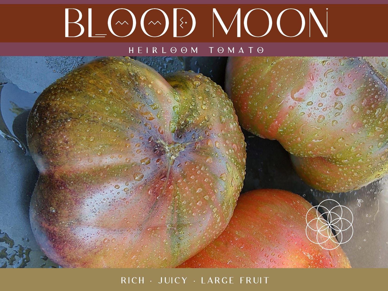 Blood Moon Tomato Seeds, Dark Heirloom, Organically Grown (15 Seeds