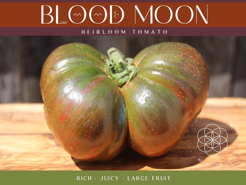 Blood Moon Tomato Seeds, Dark Heirloom, Organically Grown (15 Seeds