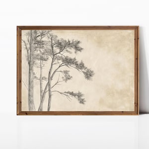 Minimalistic Tree Sketch | Antique Rustic Tree Sketch | Forest Decor | Neutral Vintage Minimalist Art | PRINTABLE | Digital Download | E763