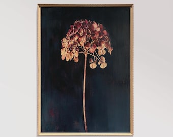 May include: A framed print of a dried hydrangea flower with a deep red and brown color palette against a dark blue background.