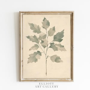 Esboço de carvalho vintage | Decoração de folhas de outono | Decoração de sala de jantar de primavera | Arte botânica de folhas | Decoração rústica vintage | IMPRIMÍVEL | Digital | E124