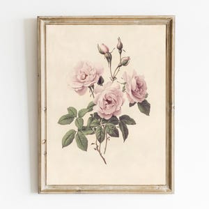 Vintage Pink Floral | Moody Vintage Still Life | Antique Botanical Painting | PRINTABLE | Floral Pink Roses Still Life | E624