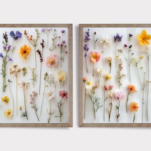 Pressed Flower Print SET of Two | Modern Floral Wall Decor | Natural Home Art | Minimalistic Art | Natural Nursery Art | Digital Art | E428