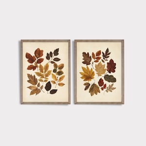 Vintage Fall SET of Two Botanical Prints | Autumn Leaf Wall Decor | Leaf Botanical Wall Art | PRINTABLE | Digital Download | E515