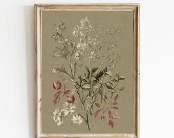 Sage Green Botanical Print | Neutral Minimalistic Wall Art | Farmhouse Wall Decor | French Botanical Downloadable | Digital Print | E1209