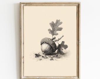Boceto de bellota / Arte mural botánico vintage / Decoración de pared neutra / Boceto botánico minimalista / Decoración cottagecore descargable / E1179