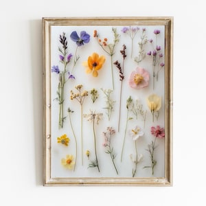 Pressed Flower Art Print | Modern Floral Wall Decor | Natural Home Decor | Minimalistic Wall Art | Natural Nursery Art | Digital Art | E426