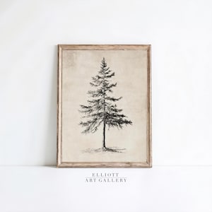May include: A black and white line drawing of a pine tree on a beige background. The drawing is framed in a light brown wood frame. The text "ELLIOTT ART GALLERY" is printed below the frame.