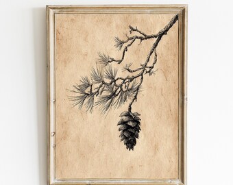 May include: Framed botanical print featuring a detailed black and white illustration of a pine branch with needles and a cone. The artwork is set against a textured, tan background, and encased in a light-colored wooden frame.