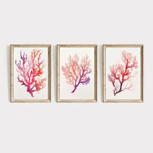 Coral Watercolor SET of Three | Minimalist Coastal Print Set | Beach House Wall Art | Watercolor Nautical Decor | Modern PRINTABLE | E785