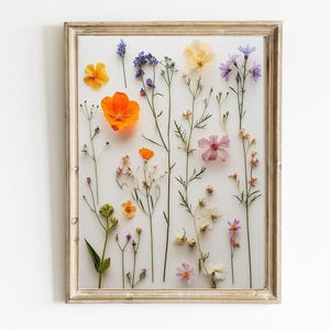 Pressed Flower Art Print | Modern Floral Wall Decor | Natural Home Decor | Minimalistic Wall Art | Natural Nursery Art | Digital Art | E429