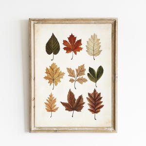 Vintage Fall Botanical | Autumn Botanical Print | Leaf Botanical Wall Decor | Dining Room Wall Art | DIGITAL Download | E969