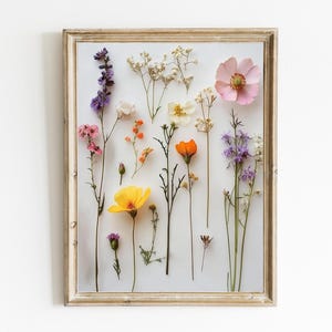 Pressed Flower Art Print | Modern Floral Wall Decor | Natural Home Decor | Minimalistic Wall Art | Natural Nursery Art | Digital Art | E430
