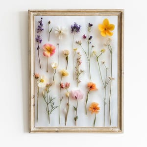 Pressed Flower Art Print | Modern Floral Wall Decor | Natural Home Decor | Minimalistic Wall Art | Natural Nursery Art | Digital Art | E427
