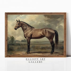 1950年代ベルギー産ドラフトホースのプリント、馬の牽引チーム、郡の