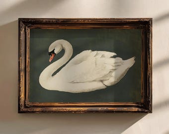 May include: A framed print of a white swan with a dark green background. The swan is depicted in a graceful pose with its head turned to the side.