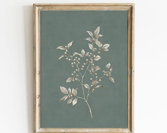 Soft Green Botanical Print | Neutral Minimalistic Wall Art | Farmhouse Wall Decor | French Botanical Downloadable | Digital Print | E1212