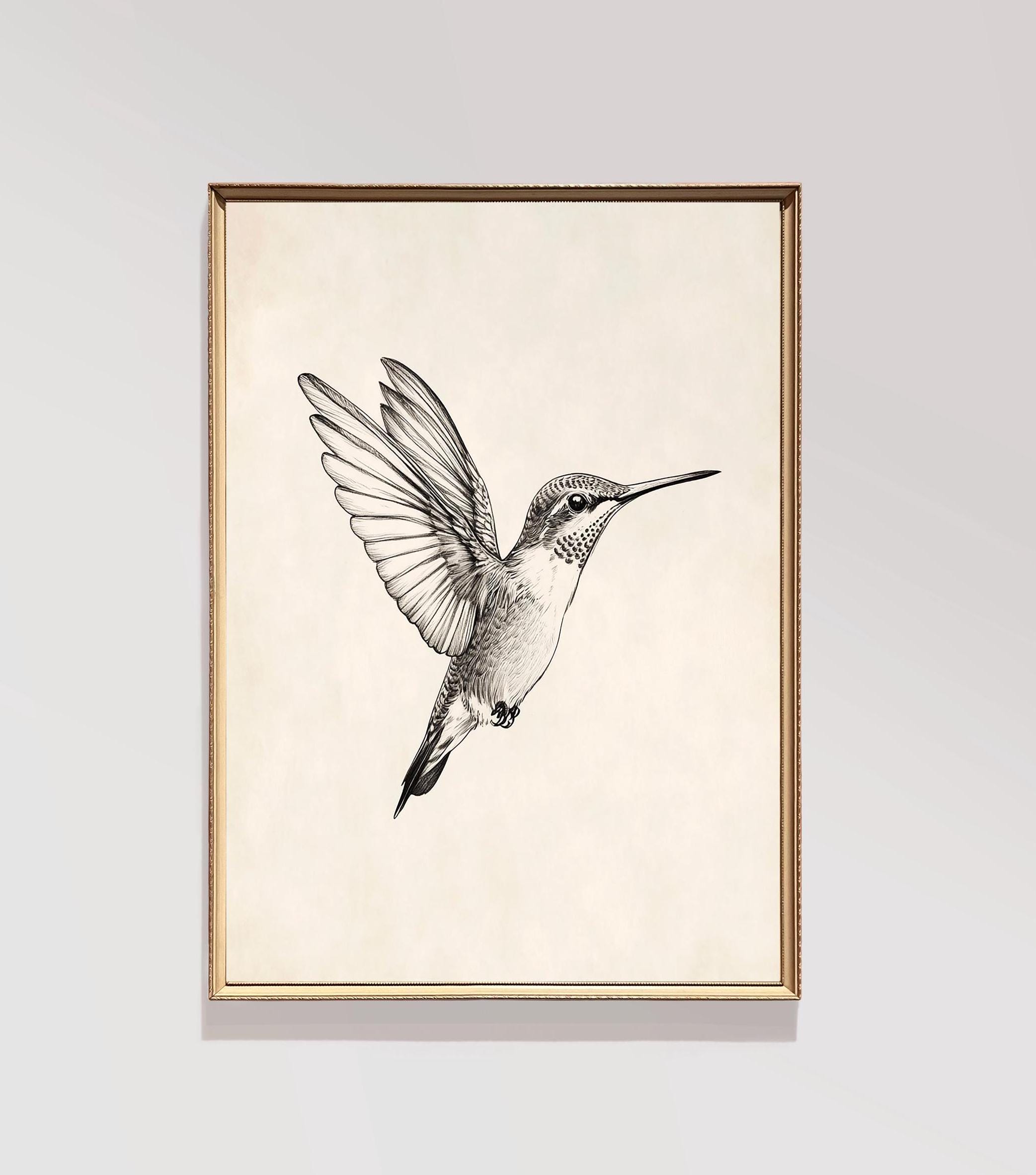 Hummingbird Sketch | Vintage Printable Wall Art | Spring Decor