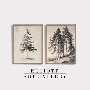 Vintage Tree Sketch SET of Two | Neutral Woodland Decor | Mountain Cabin Wall Art | PRINTABLE | Digital Download | E118