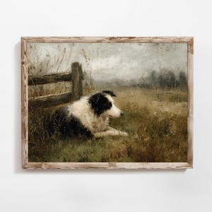 May include: A framed print of a black and white dog resting in a field. The dog is lying down in tall grass near a wooden fence. The artwork has a vintage, painterly style with muted colors.