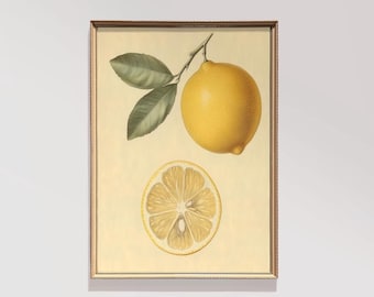 Lemon Fruit Study | Kitchen PRINTABLE Art | Cottagecore Fruit Art | Modern Farmhouse Decor | Lemon Sketch | Digital Download Art | E640