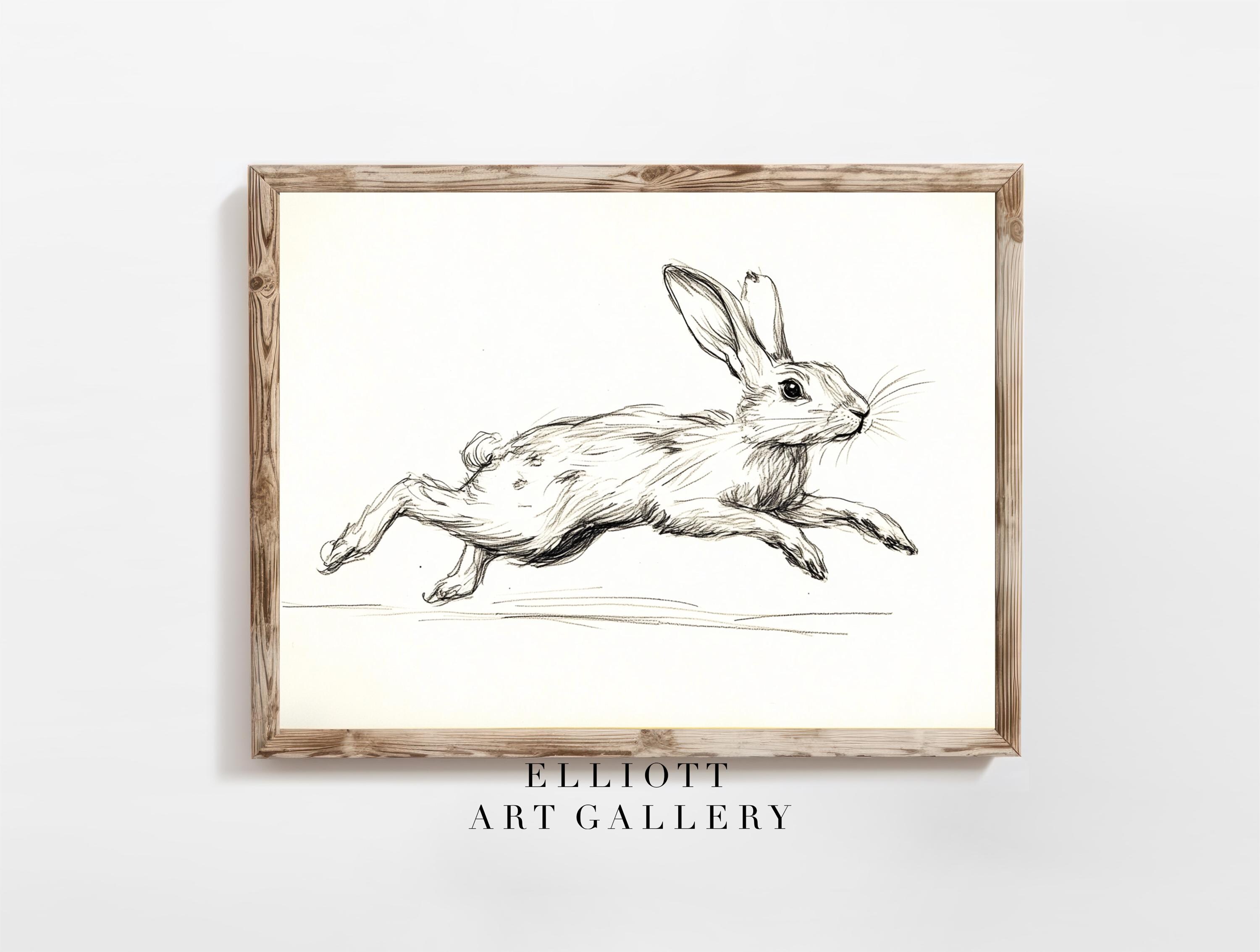 Antique Rabbit Sketch | Bunny Print | Vintage Rabbit Sketch