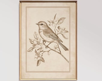 Vintage Bird Wall Art | Neutral Farmhouse Decor | Minimalist Dining Room Decor | Nursery Art | PRINTABLE Art | Digital Download | E518