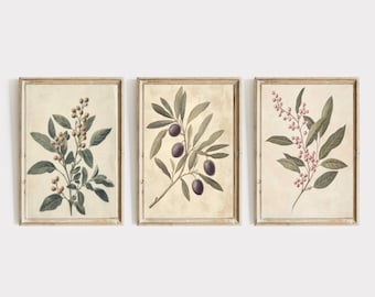 ヴィンテージボタニカル3点セット | ニュートラルなヴィンテージボタニカルプリント | ギャラリーウォールセット | ファームハウス風ウォールデコレーション | コテージ | 印刷可能 | E197