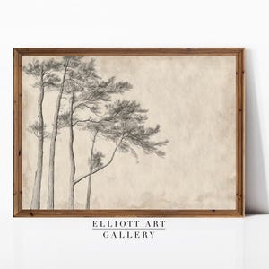 Printable Neutral Tree Sketch | Antique Rustic Tree Sketch | Forest Decor | Neutral Vintage Minimal Art | PRINTABLE Download | E765