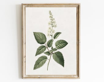 Arte de pared botánico vintage / Arte de pared botánico de granja / Botánico floral blanco / Decoración de pared minimalista / Arte de pared de cocina / Arte digital / E495