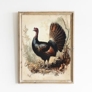 Vintage Turkey Wall Decor | Vintage Thanksgiving Decor | Farmhouse Decor | Turkey Wall Art | Antique Nature Art | PRINTABLE Download | E967