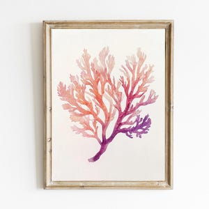 Coral Watercolor Print | Minimalist Coastal Print | Beach House Wall Art | Watercolor Nautical Decor | Modern Print | PRINTABLE | E787