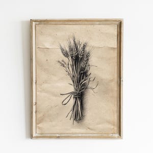 Tarweschets | Vintage botanische muurkunst | Neutraal wanddecoratie | Minimalistische botanische schets | Downloadbaar Cottagecore-decor | E1180