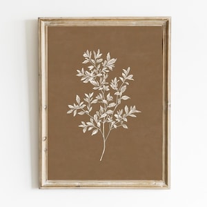 Può includere: Una stampa incorniciata con un'illustrazione botanica bianca di un ramo frondoso su uno sfondo marrone.